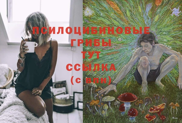 марихуана Вяземский