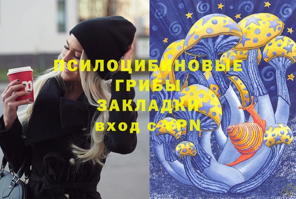 крисы Вязники