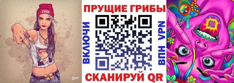 Купить Кондрово Галлюциногенные грибы ЛСД